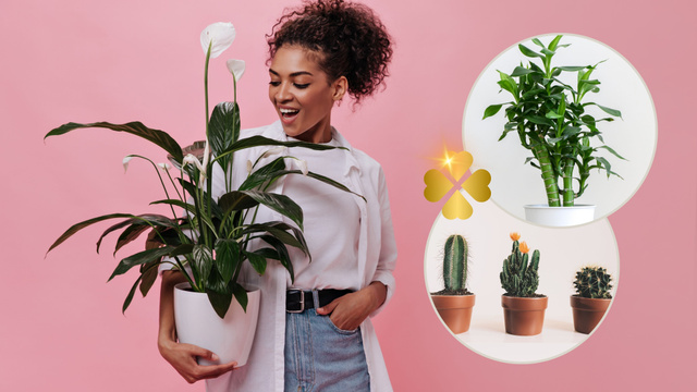 7 plantas da sorte para ter em casa: elas decoram e enchem o ambiente de boas energias