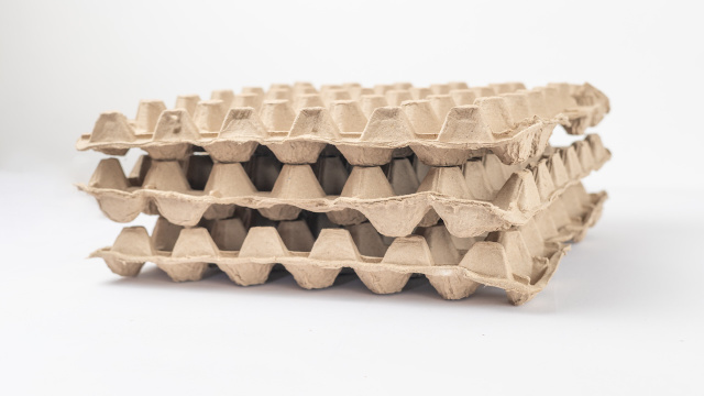 Muitos reaproveitam a embalagem de ovo, mas ela pode esconder um perigo que você nem imagina