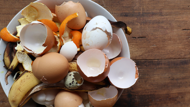 Se misturar cascas de ovos com cascas de banana você terá um tesouro: saiba para que serve