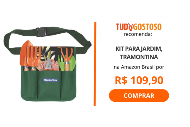 Horta em casa: Veja 5 itens para ter uma horta interna e cultivar seus próprios temperos