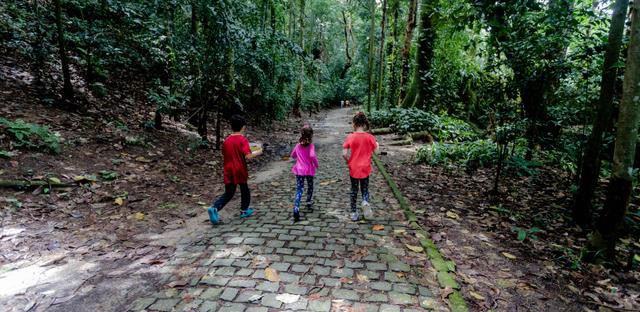 Programação do Dia das Crianças no “Parquinho Lage” terá atividades na área externa. (Foto: Escola de Artes Visuais/Divulgação)