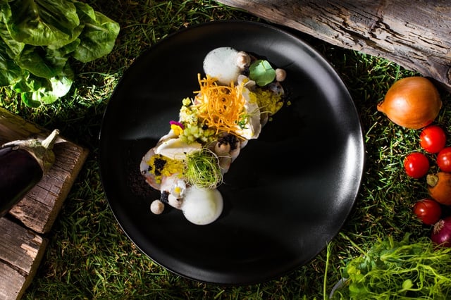 Com as técnicas da gastronomia molecular você prepara pratos dignos de chef na sua casa | Foto: Shutterstock