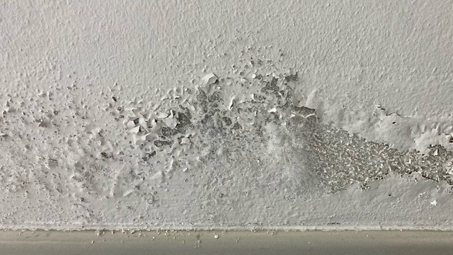 Ajuda a recuperar a superfície e deixá-la renovada. (Créditos: Canva)