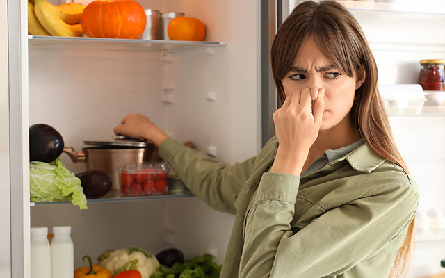 O erro comum que muita gente comete na geladeira durante o Carnaval (e só percebe quando volta para casa!)