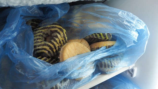 Dicas infalíveis para congelar doces e aproveitar por muito mais tempo