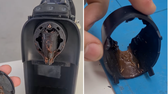Palavra de técnico especialista em manutenção: o interior da sua cafeteira pode esconder larvas e muita sujeira, saiba o que fazer