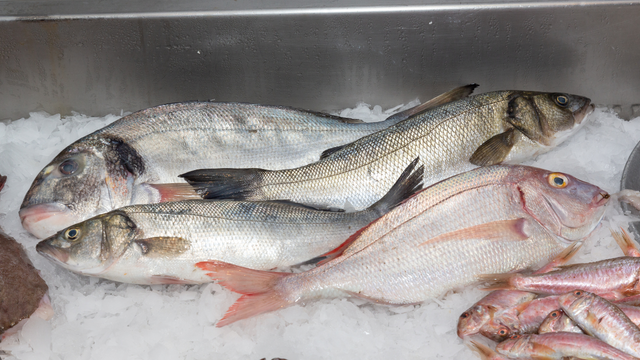 Nem salmão, nem atum: o peixe brasileiro que virou destaque no ranking dos alimentos mais saudáveis do mundo