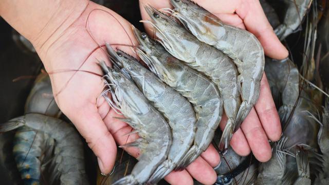 Em Paraty para o festival da cachaça? Você precisa comer esse prato caiçara da região junto com a pinga!