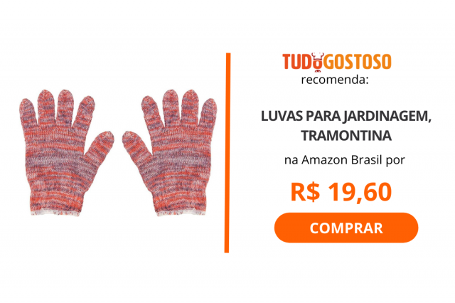 Horta em casa: Veja 5 itens para ter uma horta interna e cultivar seus próprios temperos