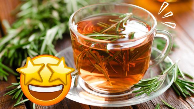 Chá de alecrim é bom pra ansiedade e memória: conheça outros 5 benefícios da erva aromática, como fazer a bebida e que horas tomar