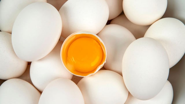 Será que vamos comer ovos assim no futuro? É melhor nos prepararmos para o que pode nos aguardar