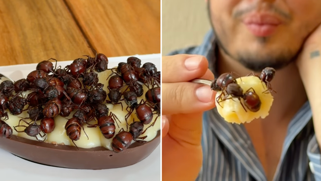 Ovo de Páscoa de tanajura? Influencer faz combinação ousada e viraliza nas redes sociais