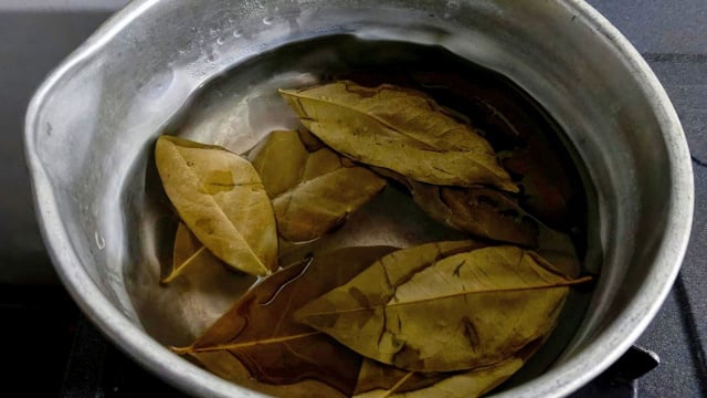 Ferver folhas de louro em meio copo de vinagre branco: para que serve e por que é recomendado?