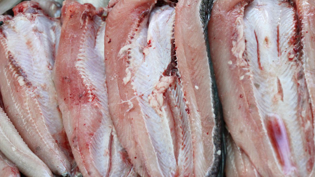 Um peixe com um nome incomum que vai te fazer dizer "Hã?!" Uma iguaria da América do Sul tão deliciosa quanto o salmão