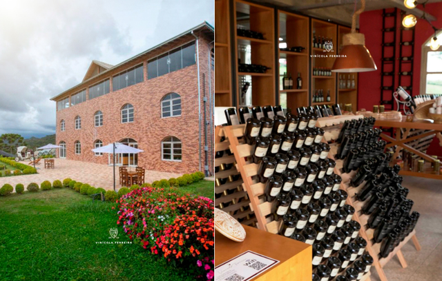 A Vinícola Ferreira tem pouco tempo de funcionamento, mas vinhos de ponta (Créditos: divulgação Vinícola Ferreira)