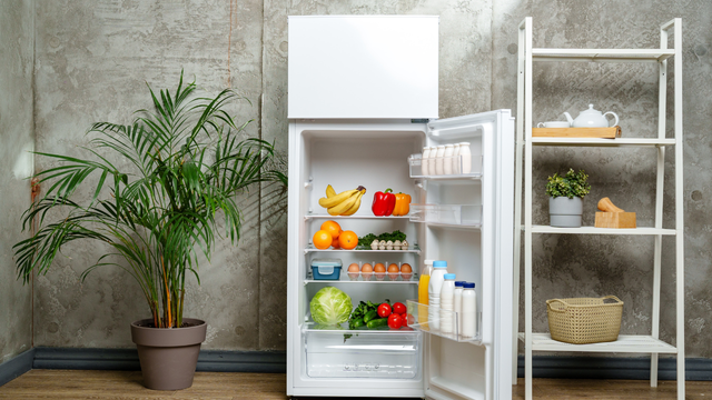 Cansei de tentar consertar minha geladeira quebrada e encontrei estes modelos em oferta na Amazon