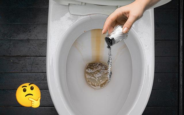 Jogo sal no vaso sanitário à noite e esse é melhor truque doméstico que já aprendi