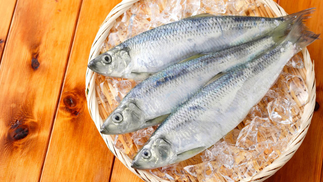 Antigamente, era visto com desdém como um peixe de pobre e não era consumido pela classe alta. No entanto, é uma das melhores fontes de alimento