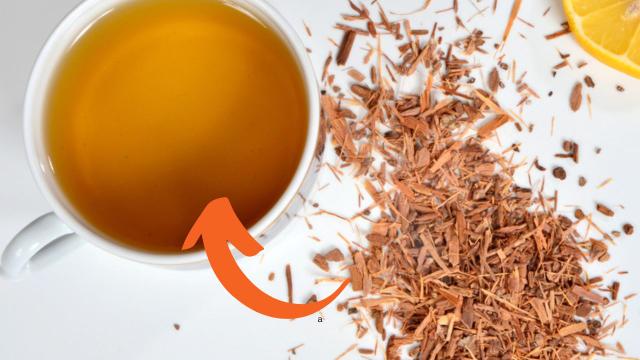 Chá de catuaba é afrodisíaco e estimulante: conheça outros 5 benefícios da planta medicinal, como fazer a bebida e que horas tomar
