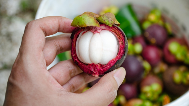 A queridinha da saúde: a rainha das frutas é anti-inflamatória, deliciosa e fácil de plantar no quintal de casa