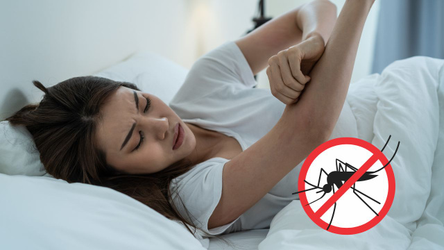 Com essa receita caseira de 3 ingredientes os mosquitos vão fugir do seu quarto
