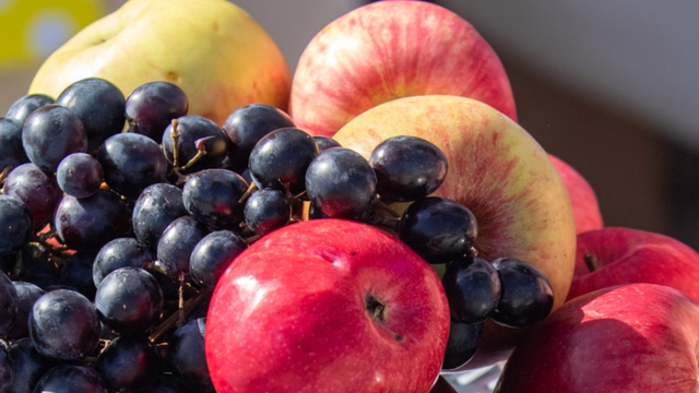 Por que as frutas são as melhores amigas do folião? Aprenda a levar na bolsa sem amassar para aproveitar o Carnaval
