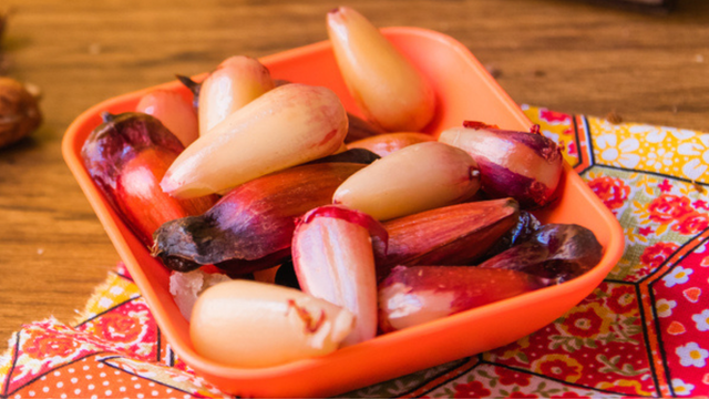 O melhor truque para descascar pinhão: método rápido, simples e eficaz é a solução