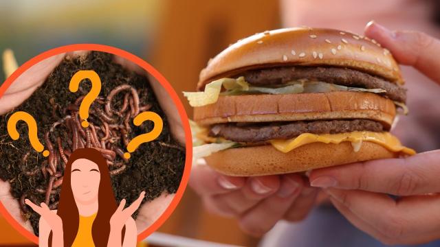 Finalmente McDonalds revela se é mito ou verdade que o hambúrguer é feito de minhoca e você precisa saber disso!