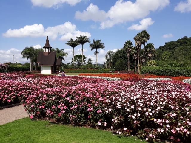Joinville tem até um festival quase centenário para as flores (Créditos: Shutterstock)