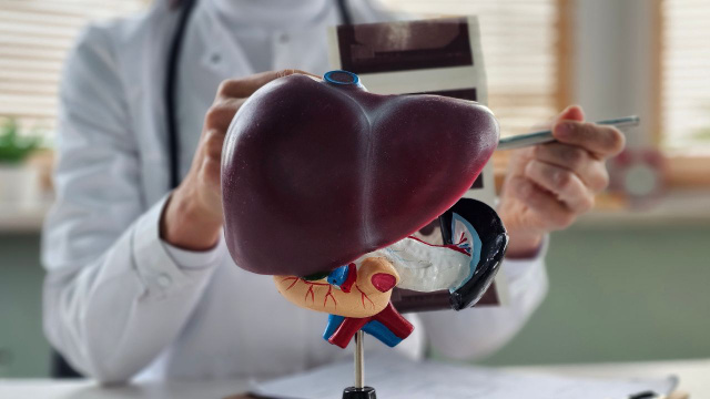 Atenção aos sinais que indicam que o seu fígado pode estar comprometido, de acordo com hepatologista