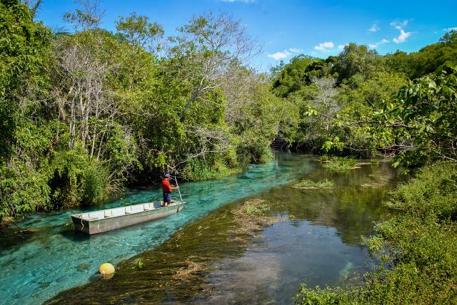 O Rio Sucuri, em Bonito, tem programas ecológicos tranquilos (Créditos: Shutterstock)