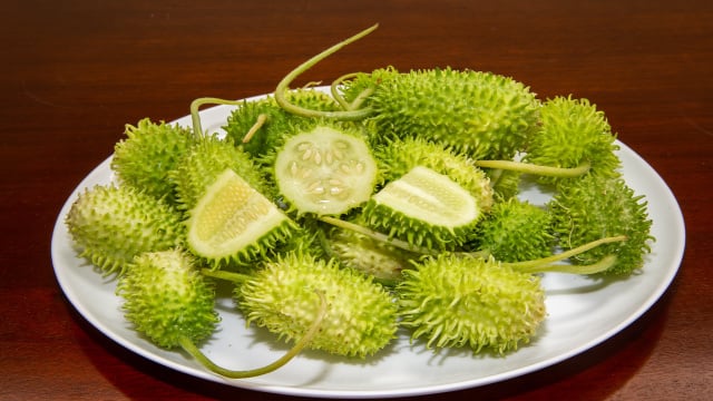 Esse vegetal esquecido nas feiras é um dos mais poderosos: conheça os benefícios do maxixe e como prepará-lo