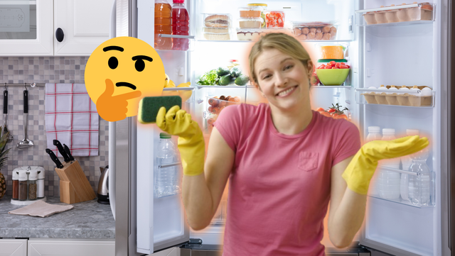 Superdica pra sua geladeira: coloque uma esponja com sal dentro do eletrodoméstico e veja a mágica acontecer