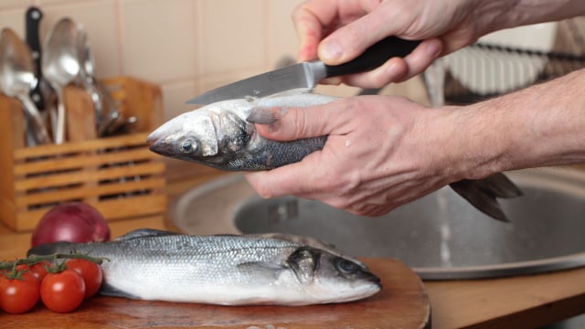 Apesar de ser saborosa, a ventresca da merluza deve ser descartada para evitar uma possível contaminação por Anisakis (Créditos: Shutterstock)