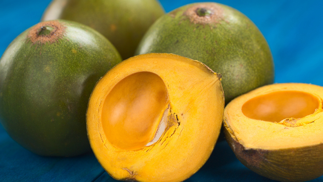 Conhecida como o ouro dos Incas, essa fruta andina é considerada um superalimento: descubra no TudoGostoso os benefícios da lúcuma