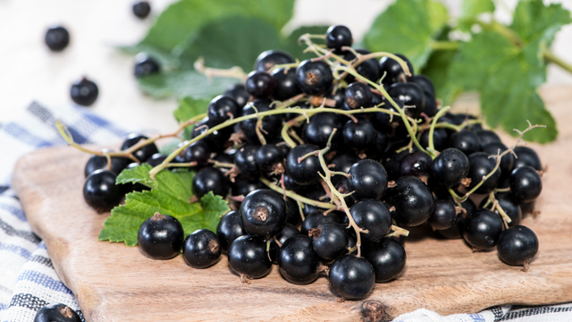 Rica em vitamina C e antioxidantes, ela pode trazer diversos benefícios para a saúde. (Créditos: Canva)