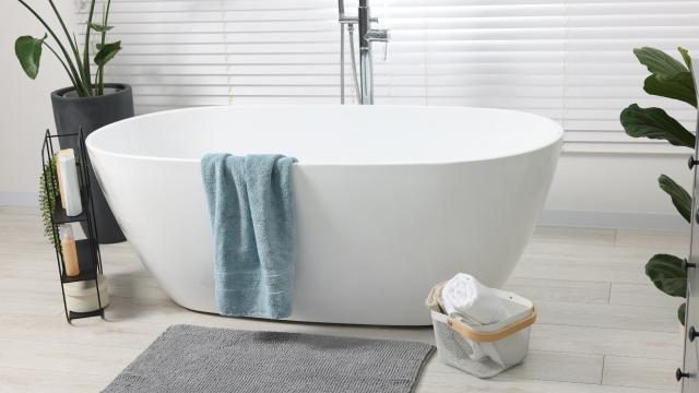 Existem alguns pontos que devem ser levados em consideração antes de adquirir a sua (Créditos: Shutterstock)