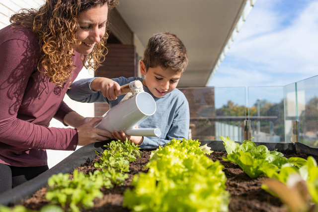 Nem todo dia, nem só uma vez por semana: descubra a frequência ideal de regar a sua horta de vegetais