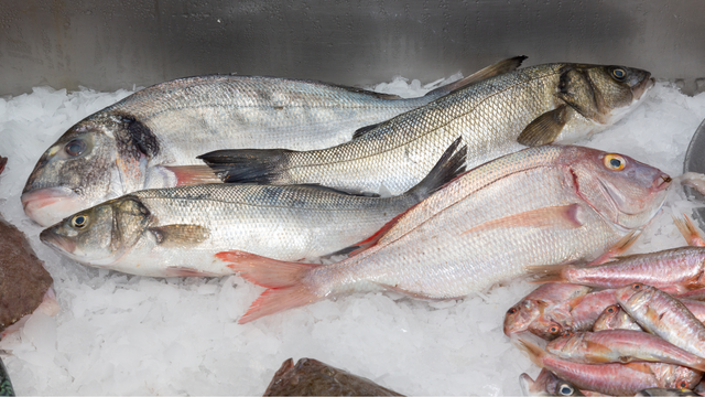 Evite estes 7 peixes: parecem saudáveis, mas escondem algo muito prejudicial