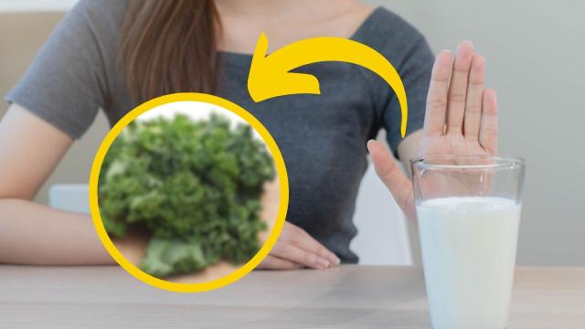 Nada de leite: o alimento com mais cálcio e que combate o colesterol é um vegetal