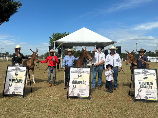 2ª Festa Tropeira de Itapetininga, São Paulo, celebra cultura e tradição