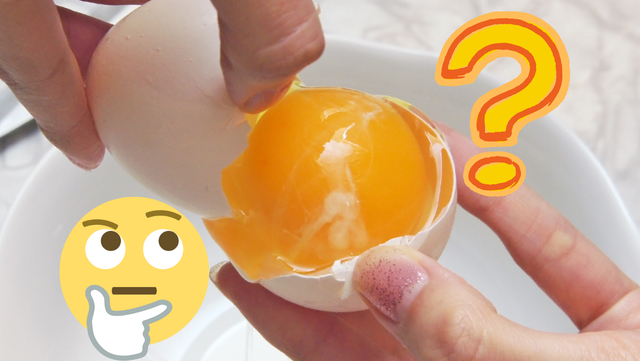 O que é isso no meu ovo? Entenda se gosminha branca tem relação com salmonela ou validade do alimento