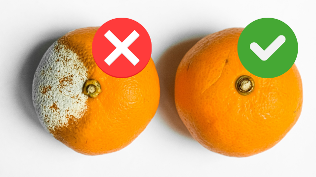 Não adianta escolher a laranja certa no mercado e guardar do jeito errado: evite esse erro comum que acaba mofando a fruta