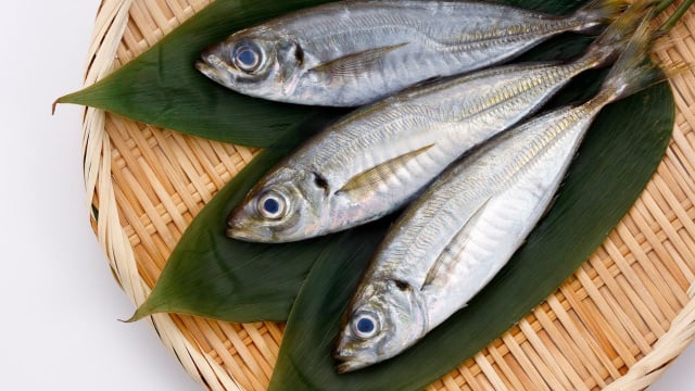 Peixes menos contaminados por metais pesados que são recomendados por especialistas por terem benefícios para cérebro, olhos e coração