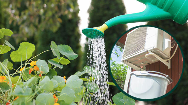 Pode usar a água do ar-condicionado para regar as plantas da sua casa?