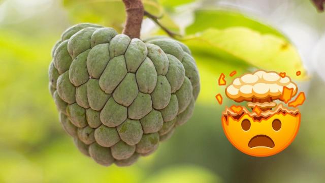 Essa fruta esquecida na feira é um superalimento que pode diminuir o crescimento de câncer, mas que tem contraindicações