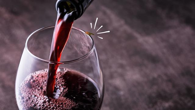 Uma mosca-da-fruta pousou no seu vinho, será que pode beber? Saiba o que fazer, segundo evidências científicas