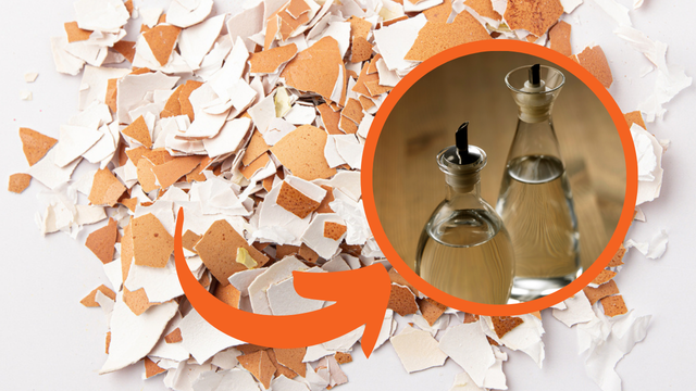 Entorne vinagre nas cascas de ovos e jogue-as no jardim: uma solução rápida para um problema bem conhecido