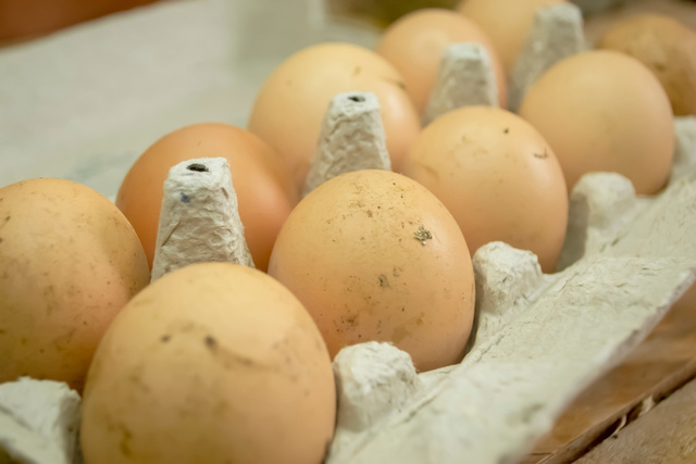 O que acontece se comer ovo estragado? Real perigo vem à tona em dicas de especialista