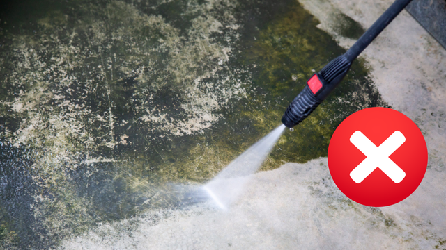 Adeus ao lodo: utilize esse truque e fique com o quintal ou terraço limpos como você nunca viu antes
